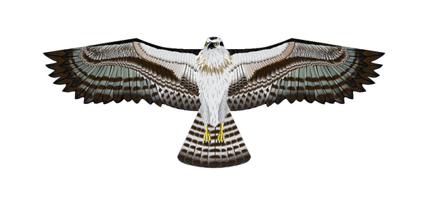 70 Inch Wingspan Supersize Ultra Osprey Ripstop Nylon Osprey Kite